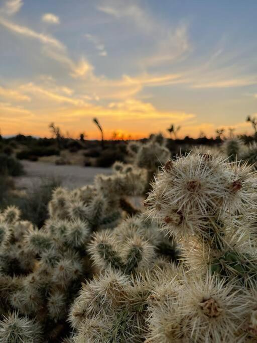 The Desert Shire Stargazing,cold Plung & Largespa * Yucca Valley